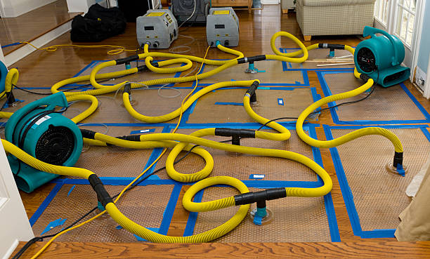Professional Basement Flood Cleanup technician working in Lynnville, IN